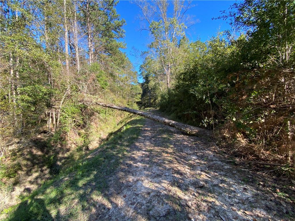 0 North Corbin Road Walker, LA 70785 - Photo 17 of 30 Gallery Image 17