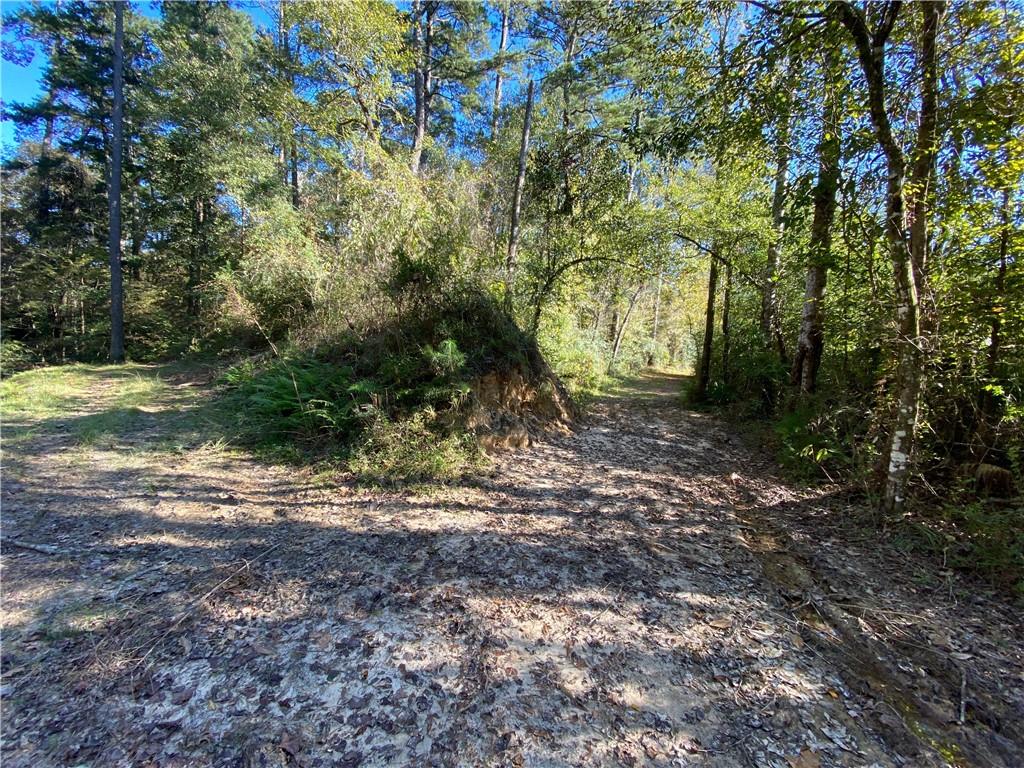0 North Corbin Road Walker, LA 70785 - Photo 18 of 30 Gallery Image 18
