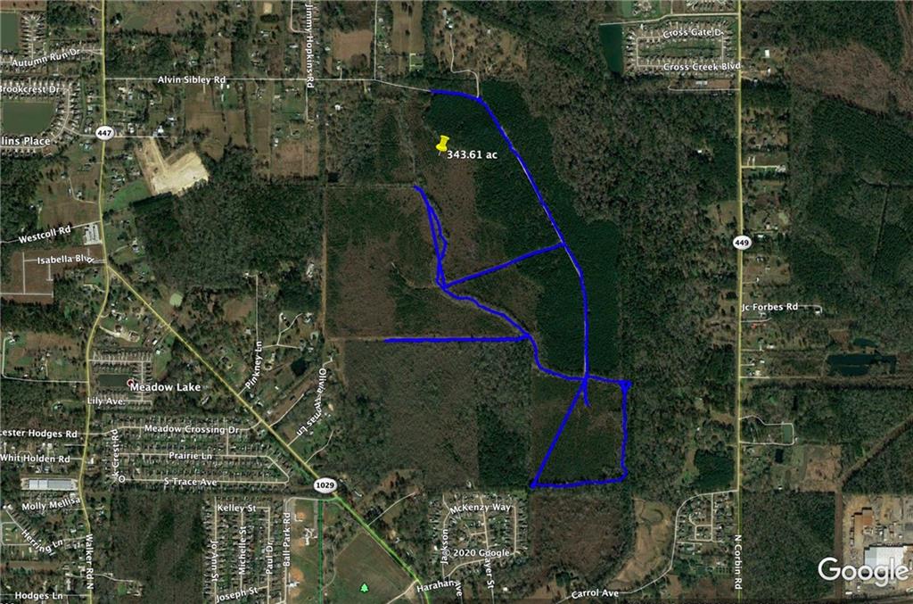 0 North Corbin Road Walker, LA 70785 - Photo 19 of 30 Gallery Image 19