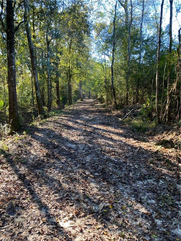 0 North Corbin Road Walker, LA 70785 - Photo 2 of 30 Gallery Image 2