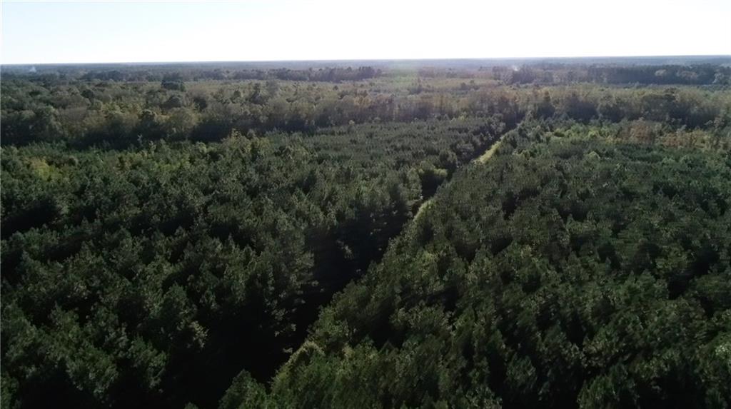 0 North Corbin Road Walker, LA 70785 - Photo 22 of 30 Gallery Image 22