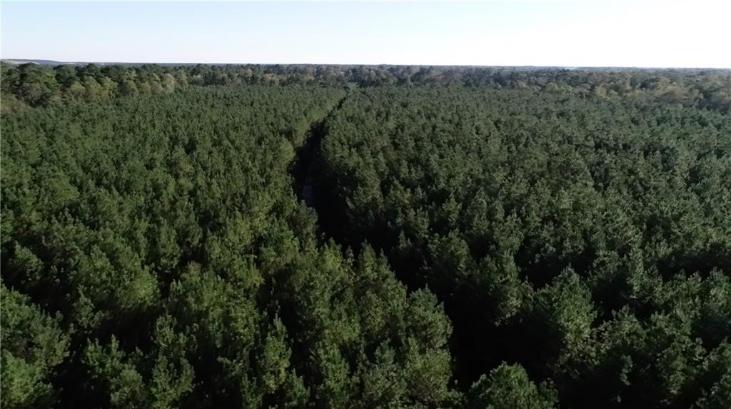 0 North Corbin Road Walker, LA 70785 - Photo 24 of 30 Gallery Image 24