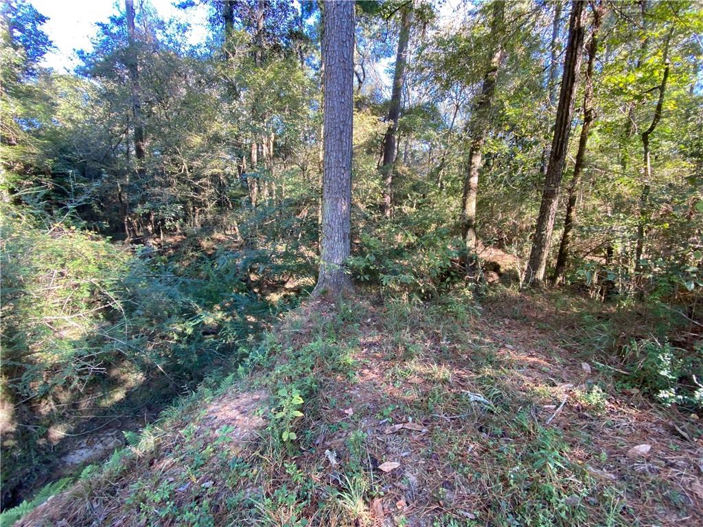 0 North Corbin Road Walker, LA 70785 - Photo 3 of 30 Gallery Image 3