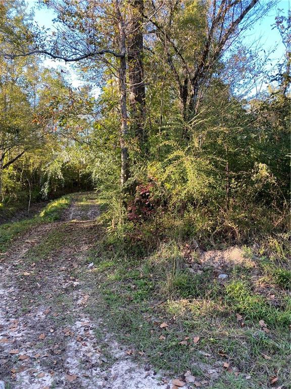 0 North Corbin Road Walker, LA 70785 - Photo 4 of 30 Gallery Image 4