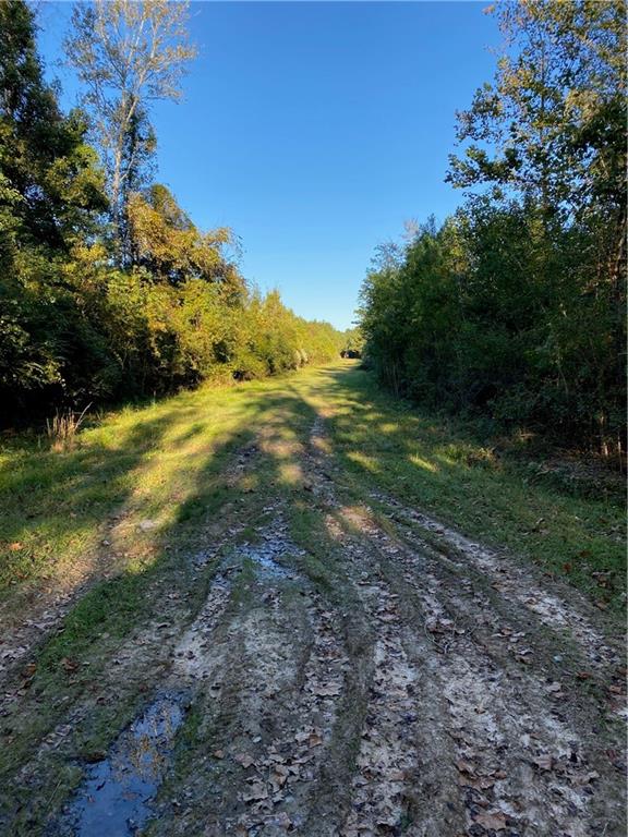 0 North Corbin Road Walker, LA 70785 - Photo 6 of 30 Gallery Image 6