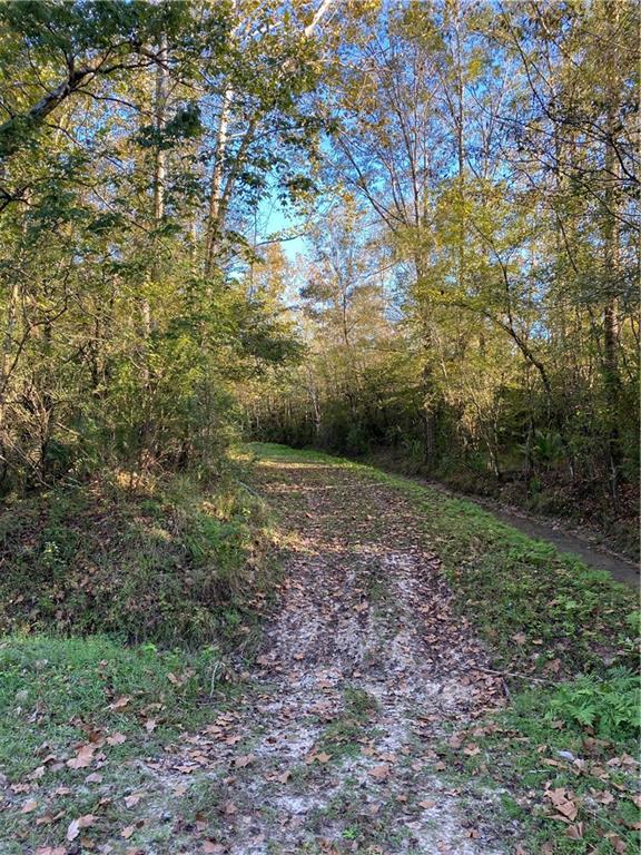 0 North Corbin Road Walker, LA 70785 - Photo 7 of 30 Gallery Image 7