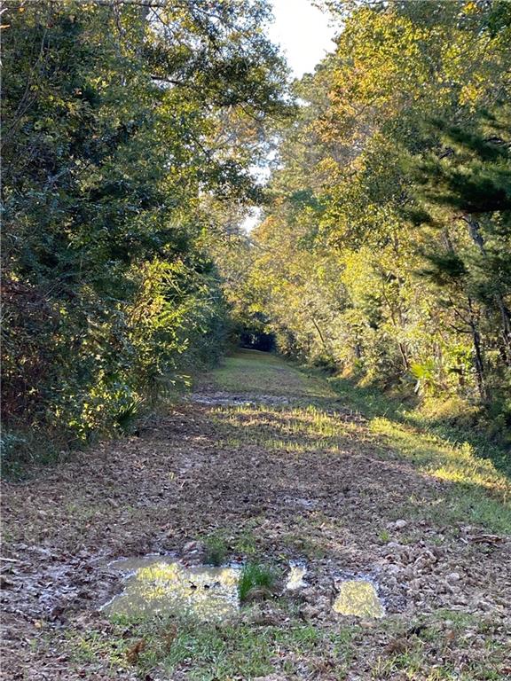 0 North Corbin Road Walker, LA 70785 - Photo 8 of 30 Gallery Image 8
