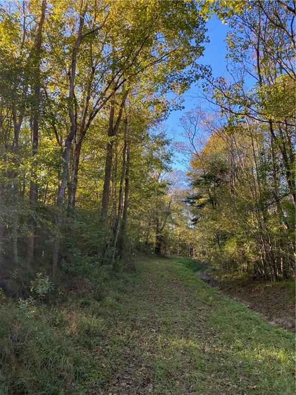 0 North Corbin Road Walker, LA 70785 - Photo 9 of 30 Gallery Image 9