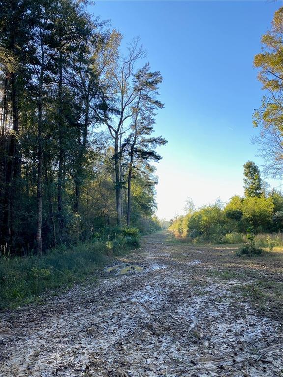 0 North Corbin Road Walker, LA 70785 - Photo 10 of 30 Gallery Image 10
