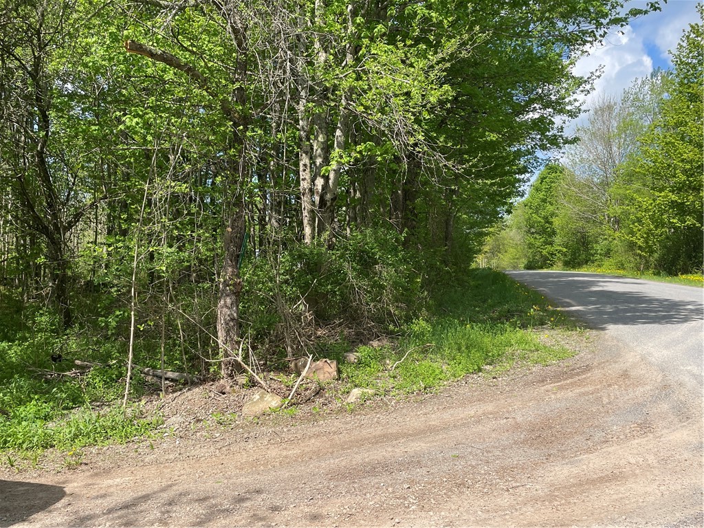 174 Peraglie Road Jefferson, NY 12093 - Photo 2 of 31
