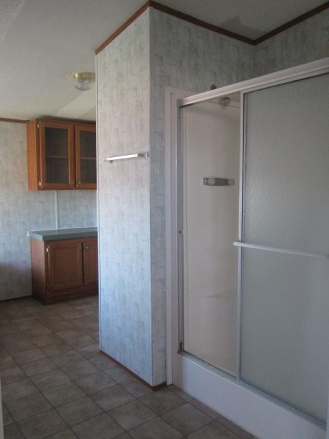 837 Summitt Ridge Drive Blue Ridge, VA 24064 - Photo 13 of 29 a bathroom with a shower and a sink