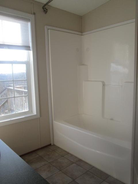 837 Summitt Ridge Drive Blue Ridge, VA 24064 - Photo 20 of 29 a bathroom with a bathtub
