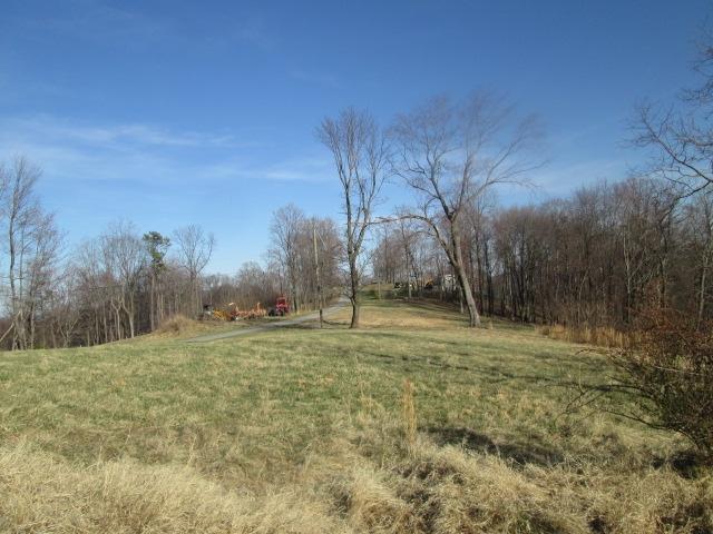837 Summitt Ridge Drive Blue Ridge, VA 24064 - Photo 24 of 29 a big yard with lots of tress in it