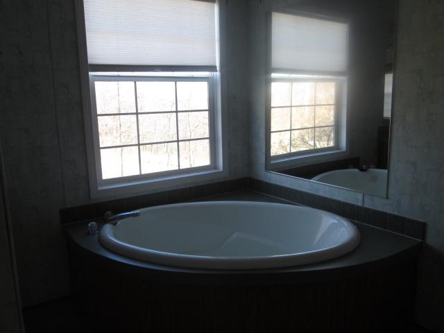 837 Summitt Ridge Drive Blue Ridge, VA 24064 - Photo 25 of 29 a bath tub sitting in a bathroom next to a window