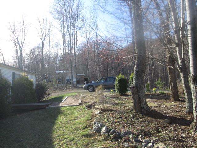 837 Summitt Ridge Drive Blue Ridge, VA 24064 - Photo 4 of 29 a view of a backyard with trees