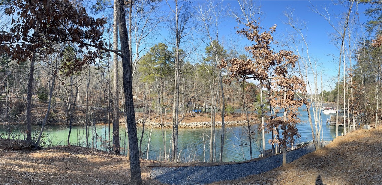 527 Ellenburg Road Seneca, SC 29672 - Photo 4 of 50