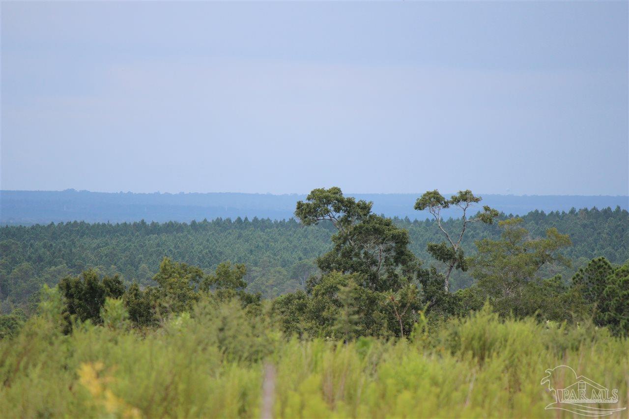 Lot 25-br Buffalo Ridge Road Pace, FL 32571 - Photo 3 of 3