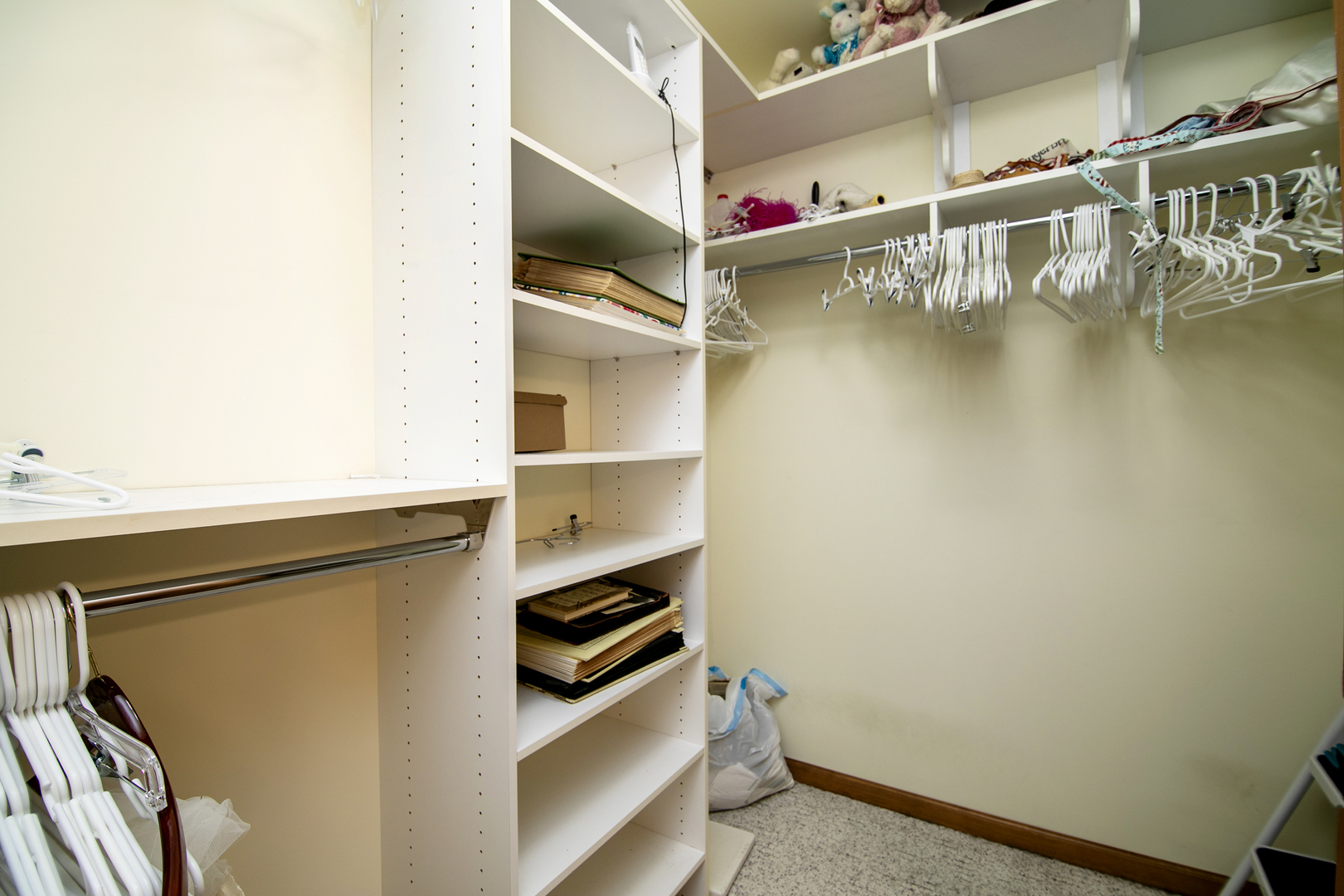 548 Olde Oak Drive, Unit 548 Bourbonnais, IL 60914 - Photo 20 of 26 a view of walk in closet with empty racks