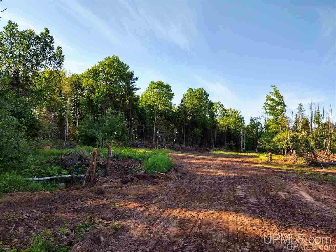 Tbd Off Arnheim Road Baraga, MI 49908 - Photo 25 of 28 Gallery Image 25
