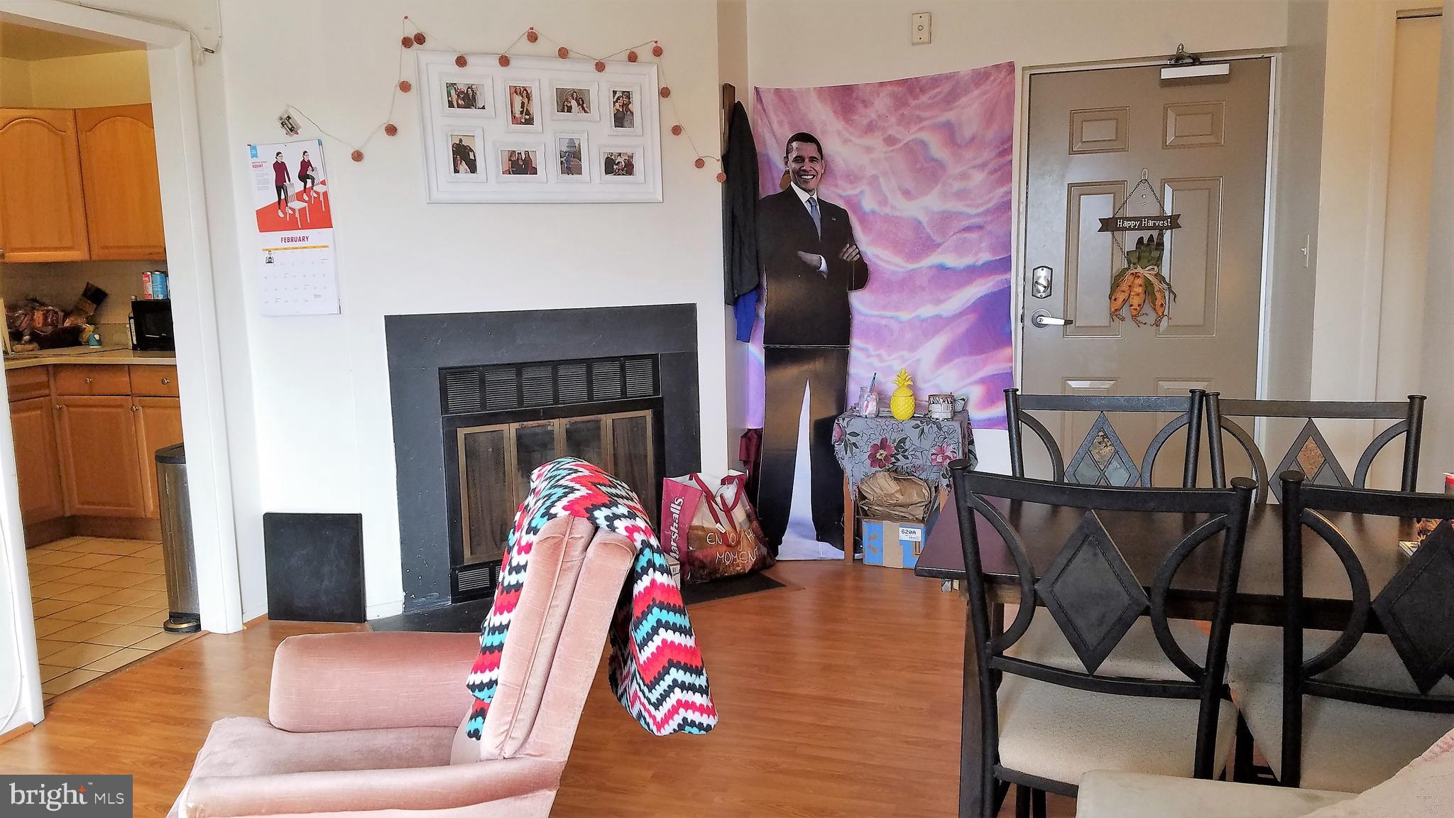 4330 Hartwick Road, Unit 613 College Park, MD 20740 - Photo 12 of 22 Living room with fireplace