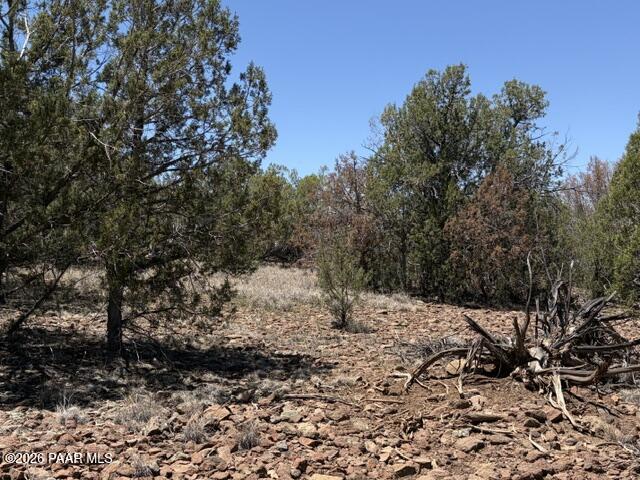 356 A Sierra Verde Ranch Seligman, AZ 86337 - Photo 2 of 8