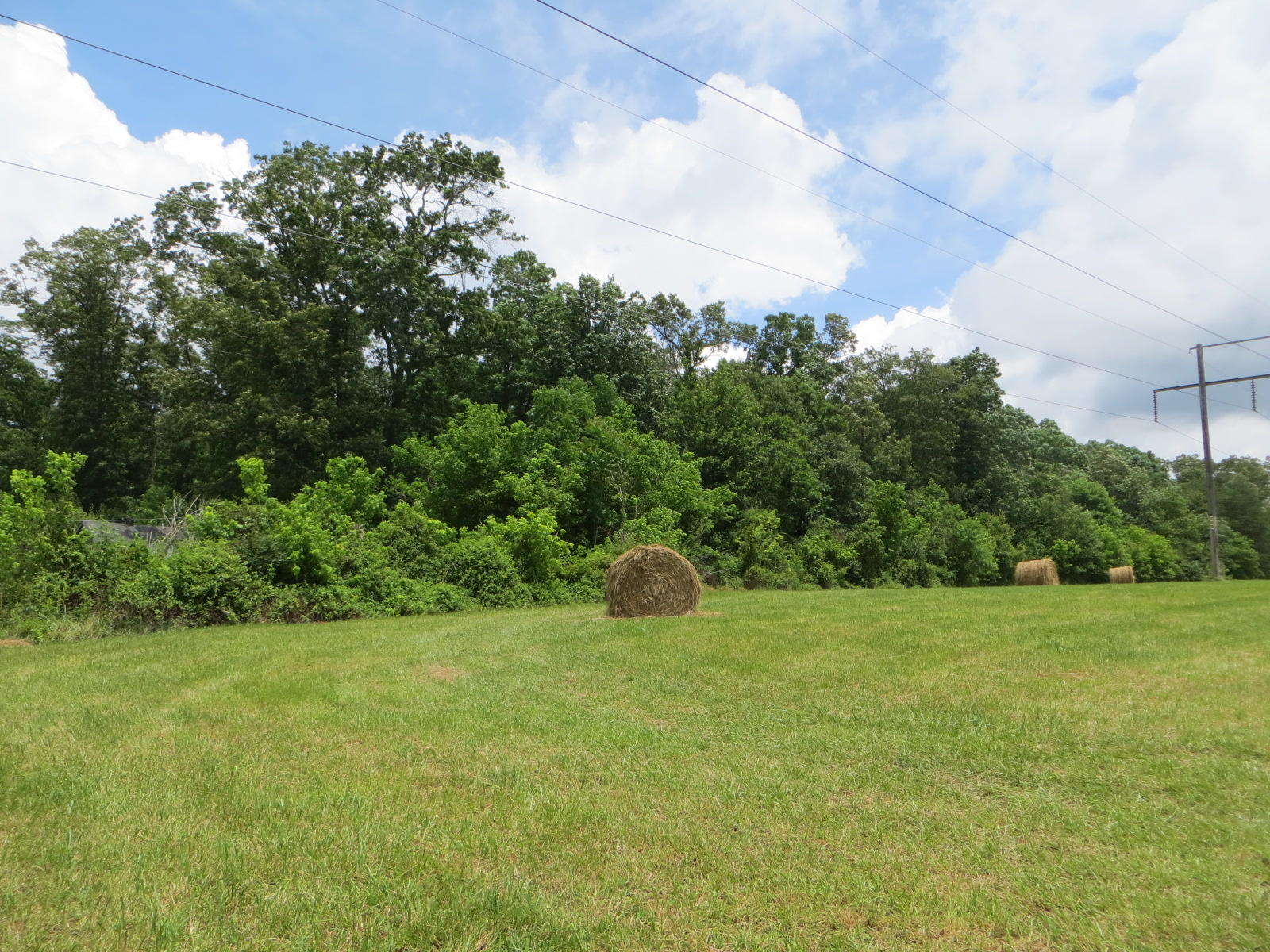 0 Oakes Road Pikeville, TN 37367 - Photo 2 of 21 IMG_0009