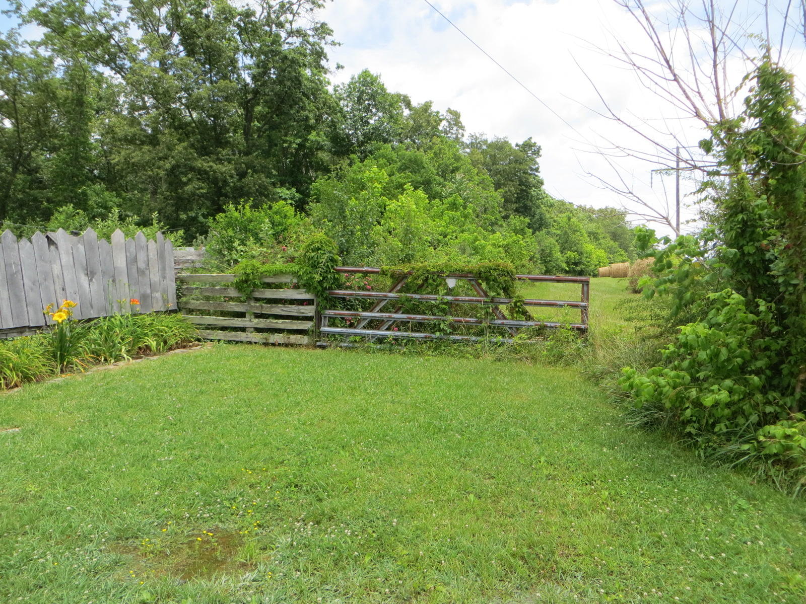 0 Oakes Road Pikeville, TN 37367 - Photo 3 of 21 IMG_0029