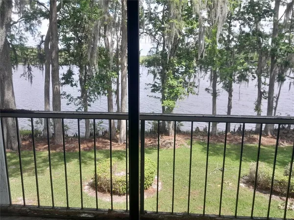 a view of a garden