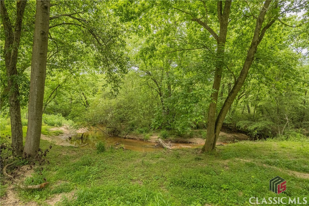 3840 Highway 29 Colbert, GA 30628 - Photo 63 of 75 Gallery Image 63