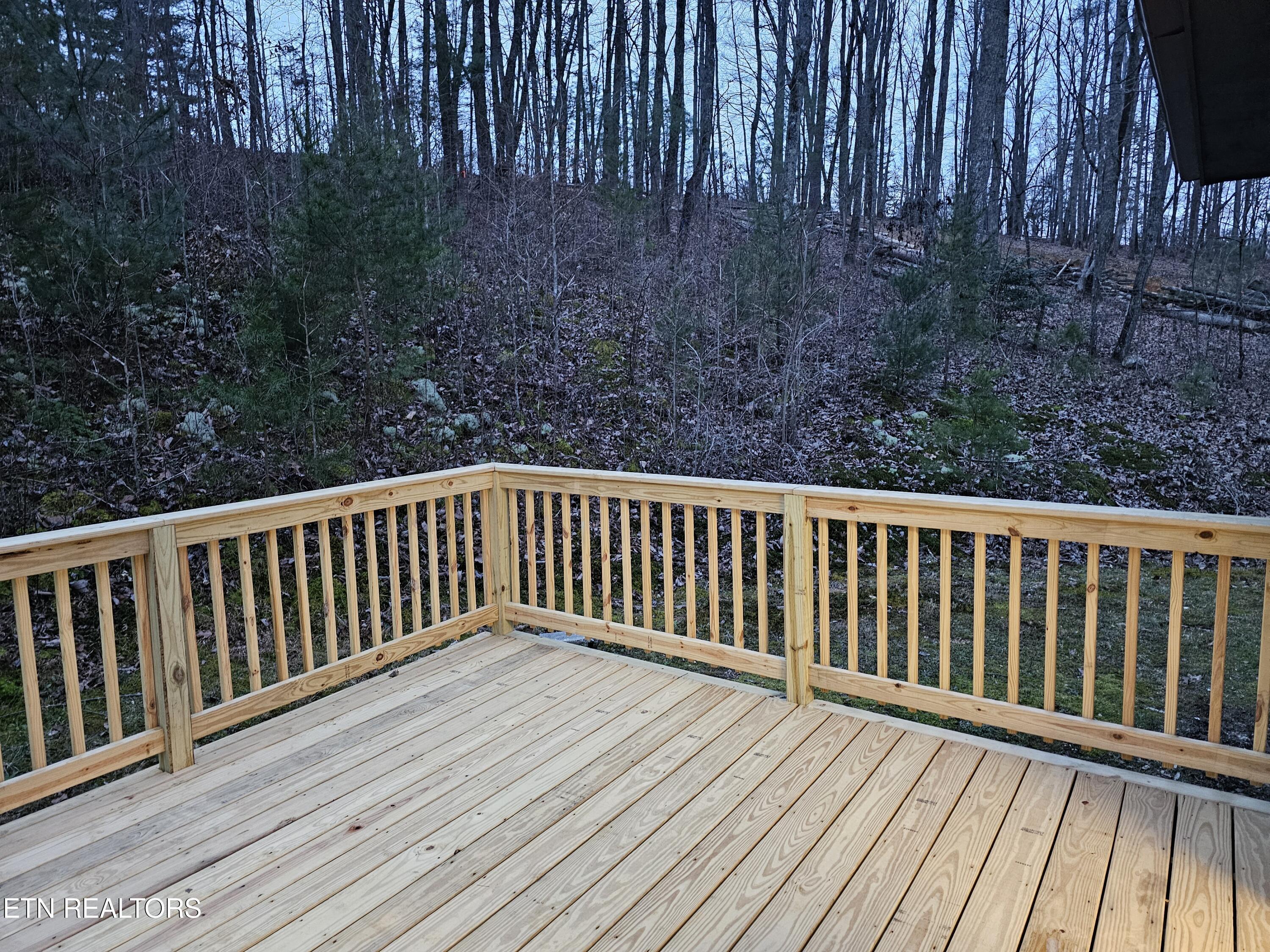 1724 Euchee Chapel Road Spring City, TN 37381 - Photo 10 of 29 20250130_180238