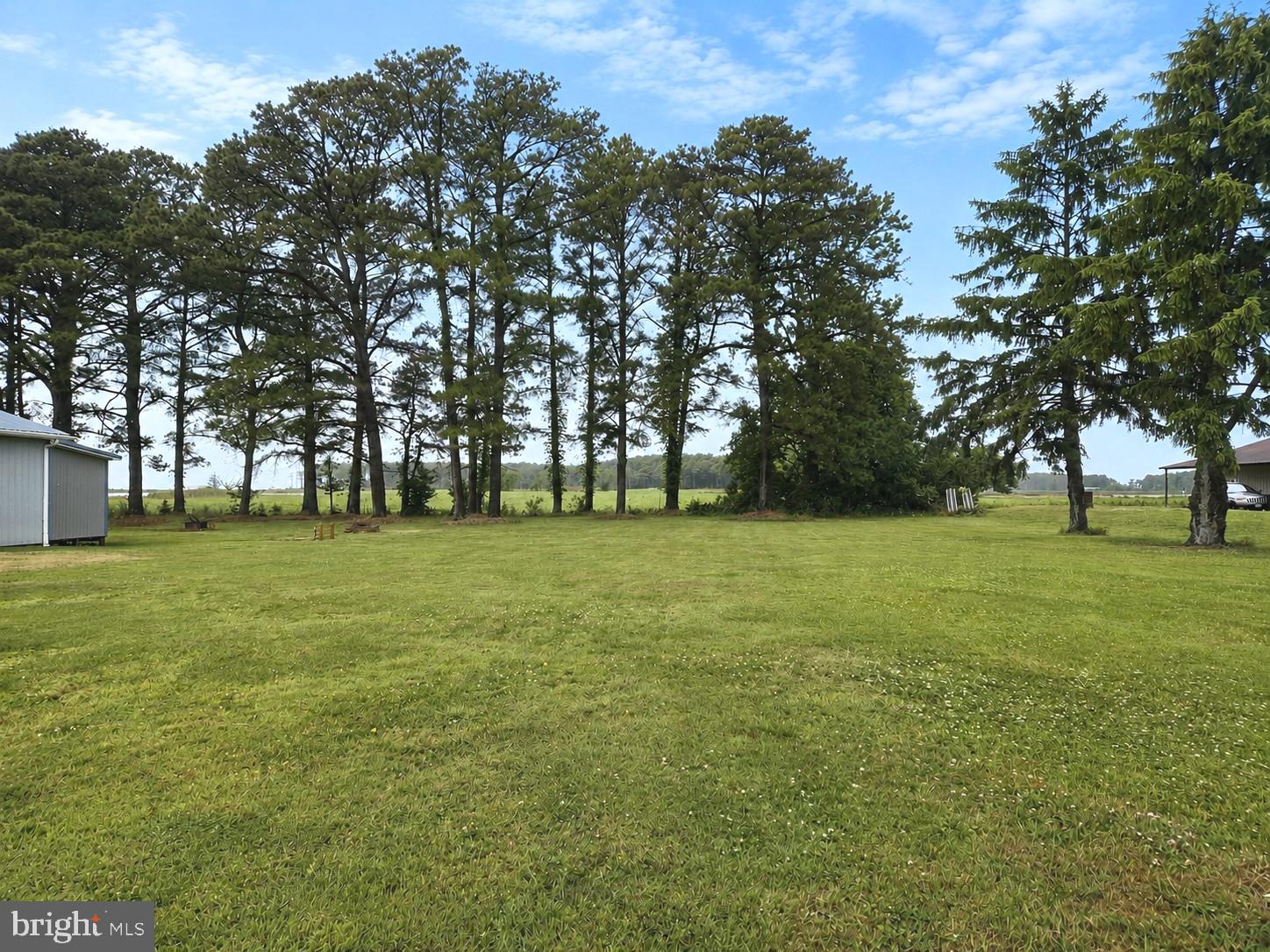 a view of field with trees