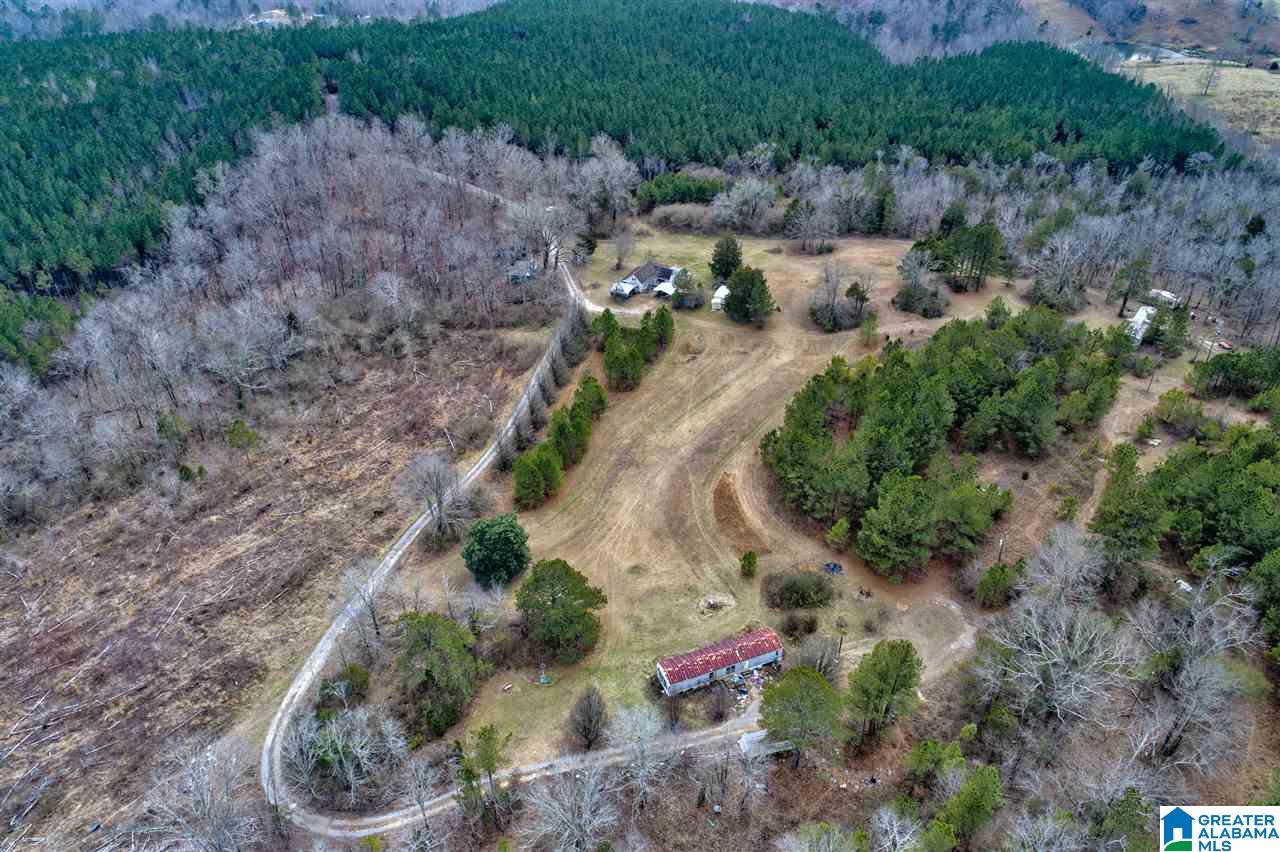 620 Chief Albert Road Blountsville, AL 35031 - Photo 13 of 15