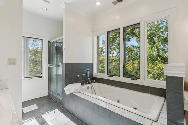 a bathroom with a bathtub and a shower