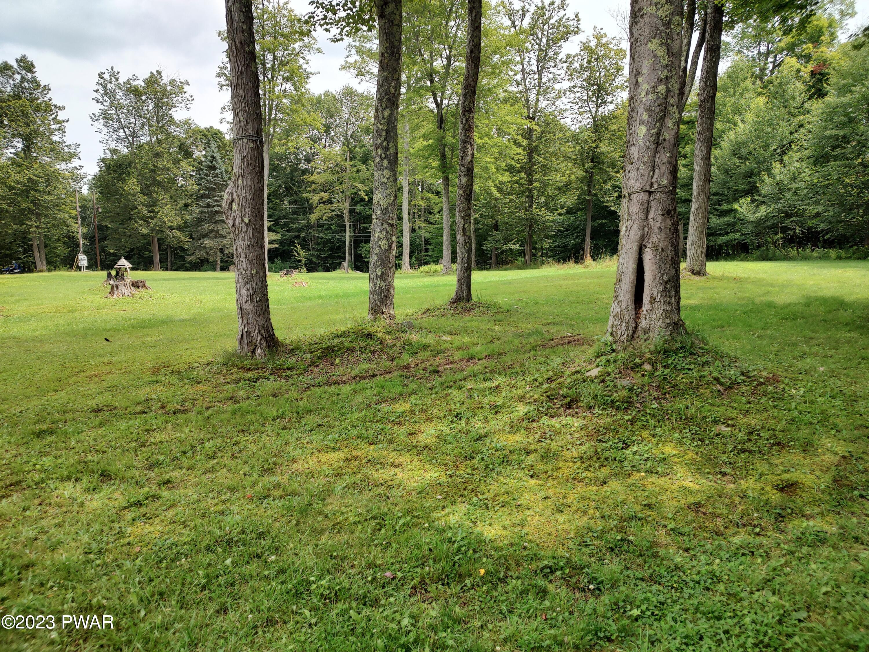 192 Beech Road Equinunk, PA 18417 - Photo 3 of 23