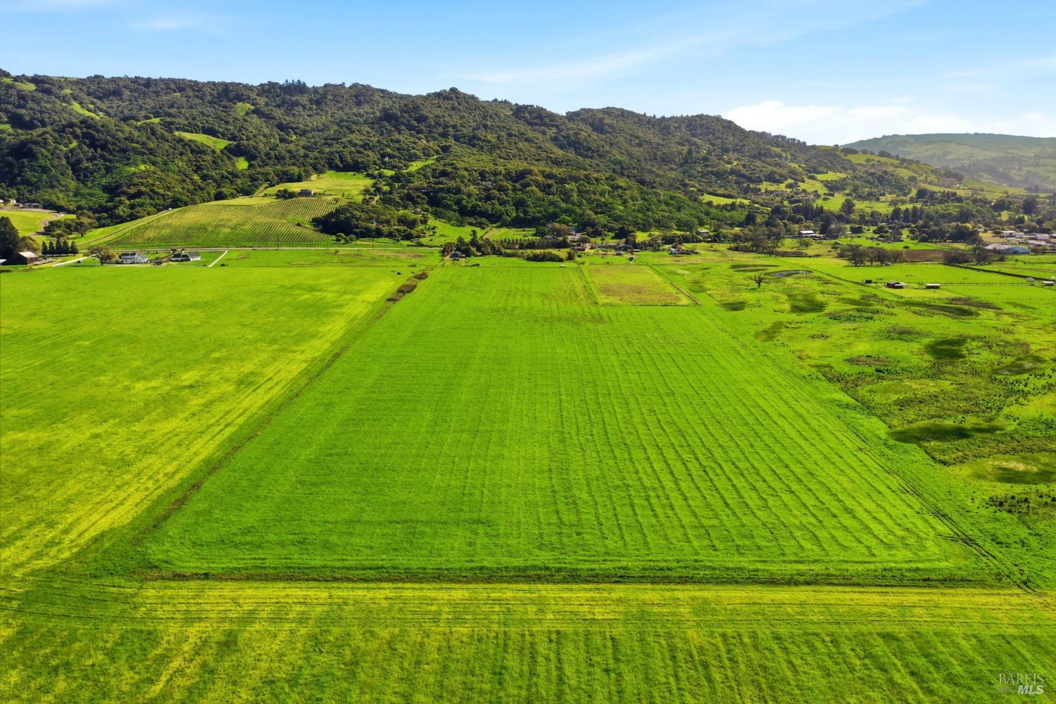 4305 Petaluma Hill Road Santa Rosa, CA 95404 - Photo 86 of 95