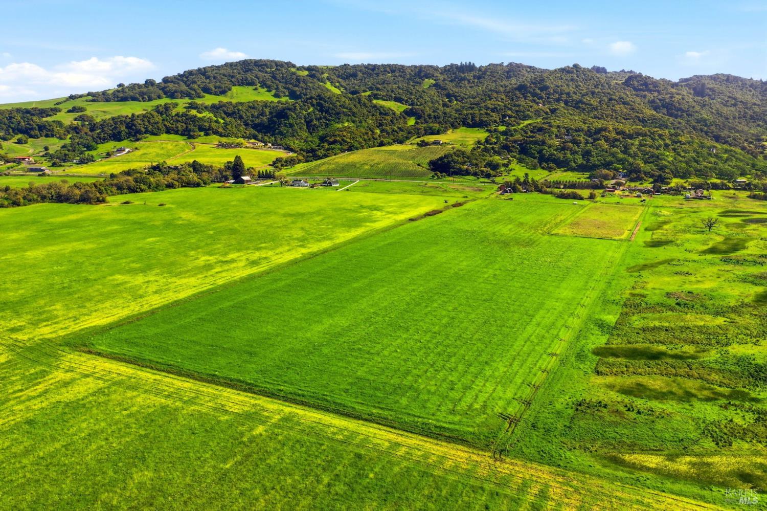 4305 Petaluma Hill Road Santa Rosa, CA 95404 - Photo 88 of 95