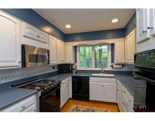 1309 Inverlieth Road Lake Forest, IL 60045 - Photo 5 of 13 a kitchen with stainless steel appliances a sink cabinets and a window