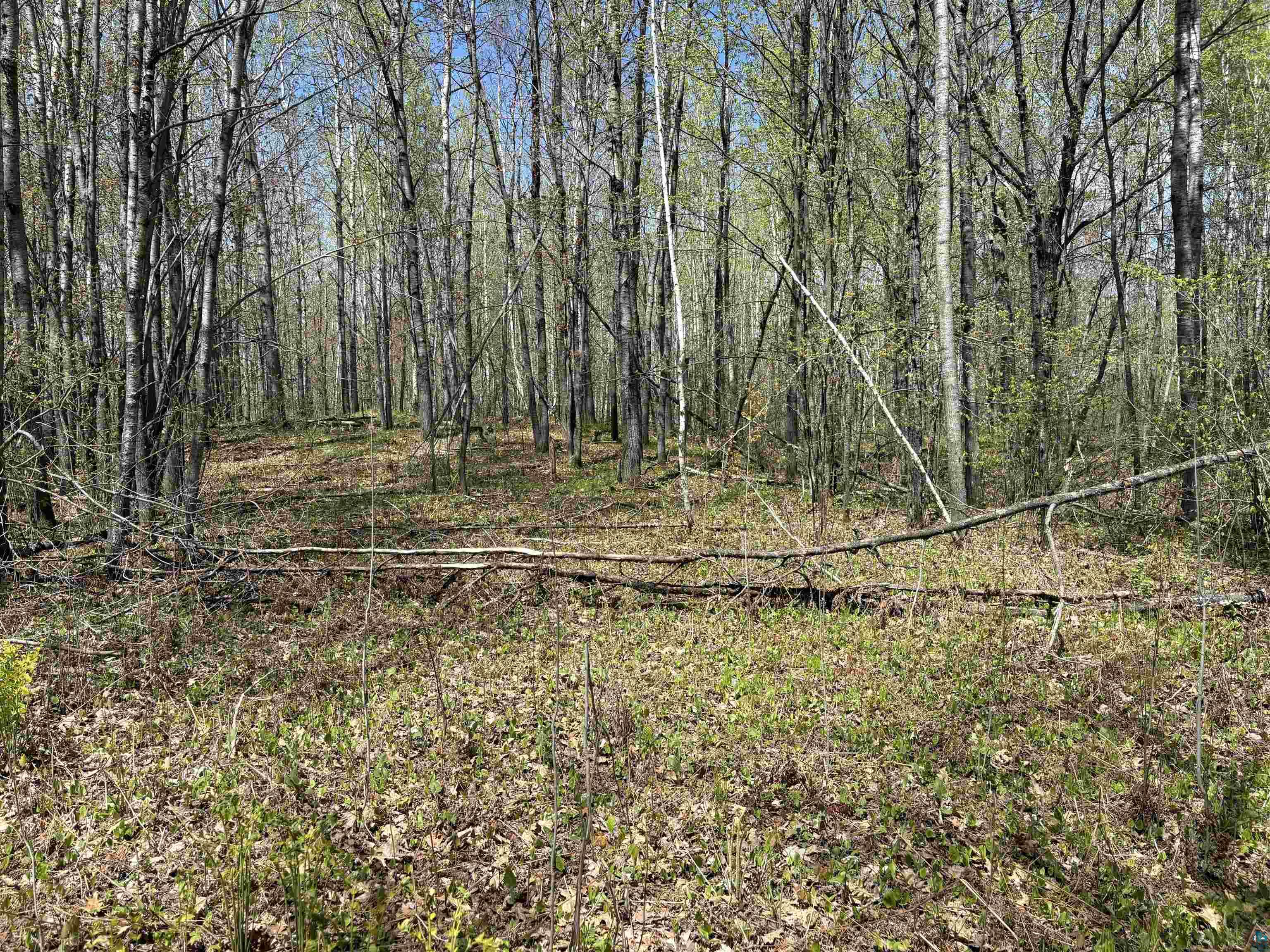 854 West Chub Lake Road Carlton, MN 55718 - Photo 6 of 6