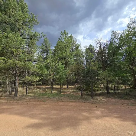 $21,000 | 182 Wasatch Lane, Florissant, CO 80816