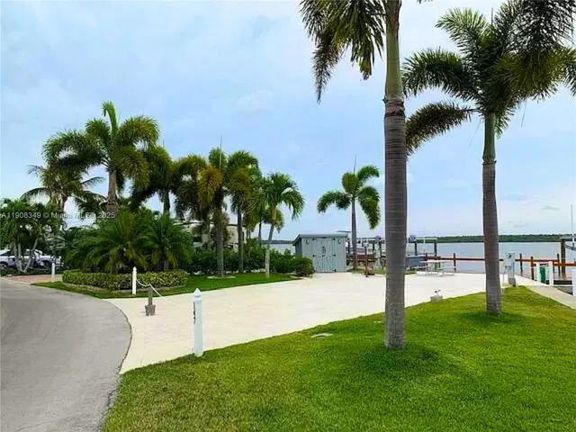 a view of outdoor space with palm trees