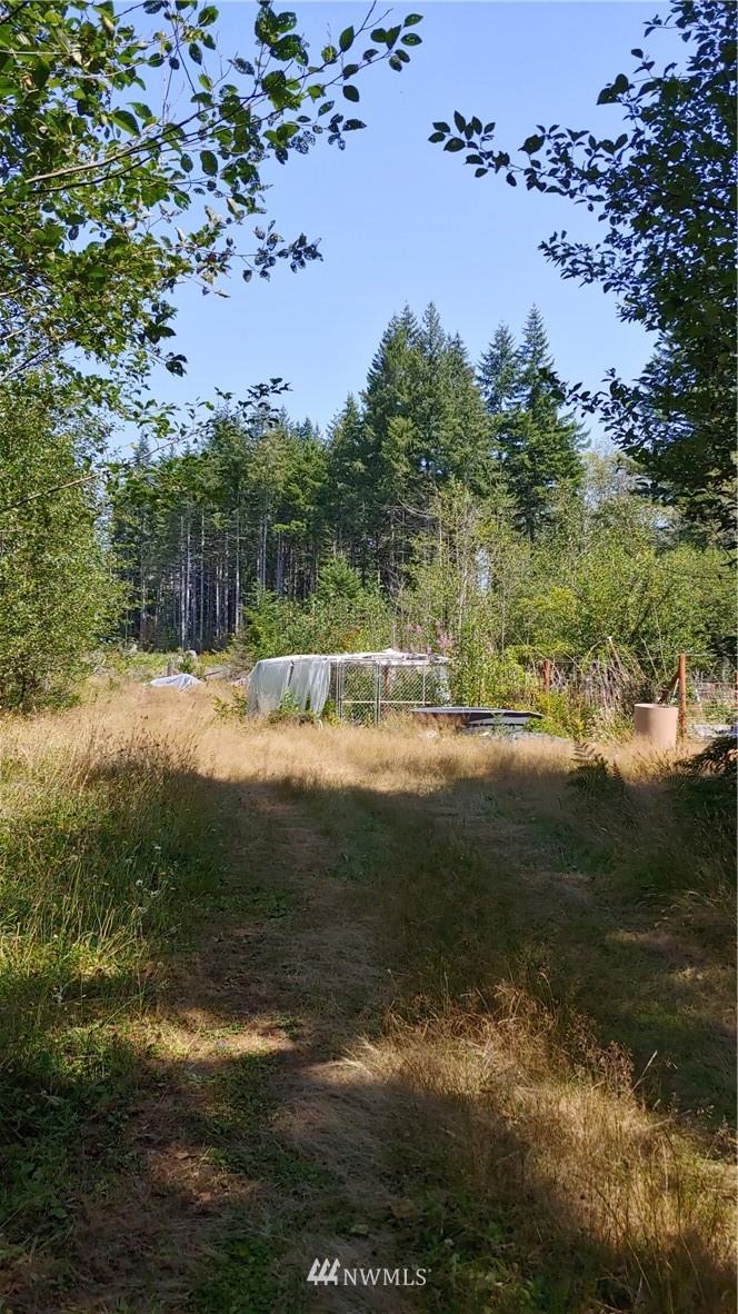 999 West Maple Rock Road Matlock, WA 98560 - Photo 2 of 3 Gallery Image 2