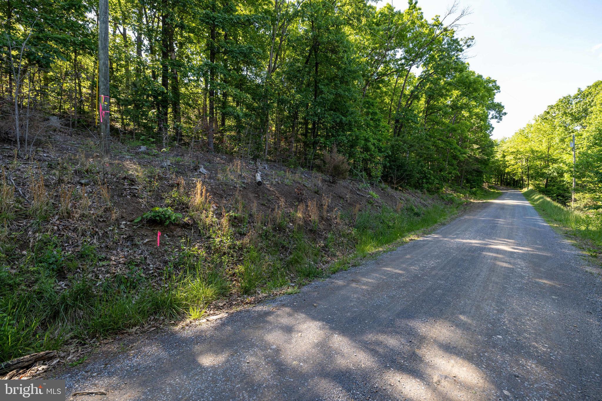0 Cross Mountain Road Luray, VA 22835 - Photo 44 of 51