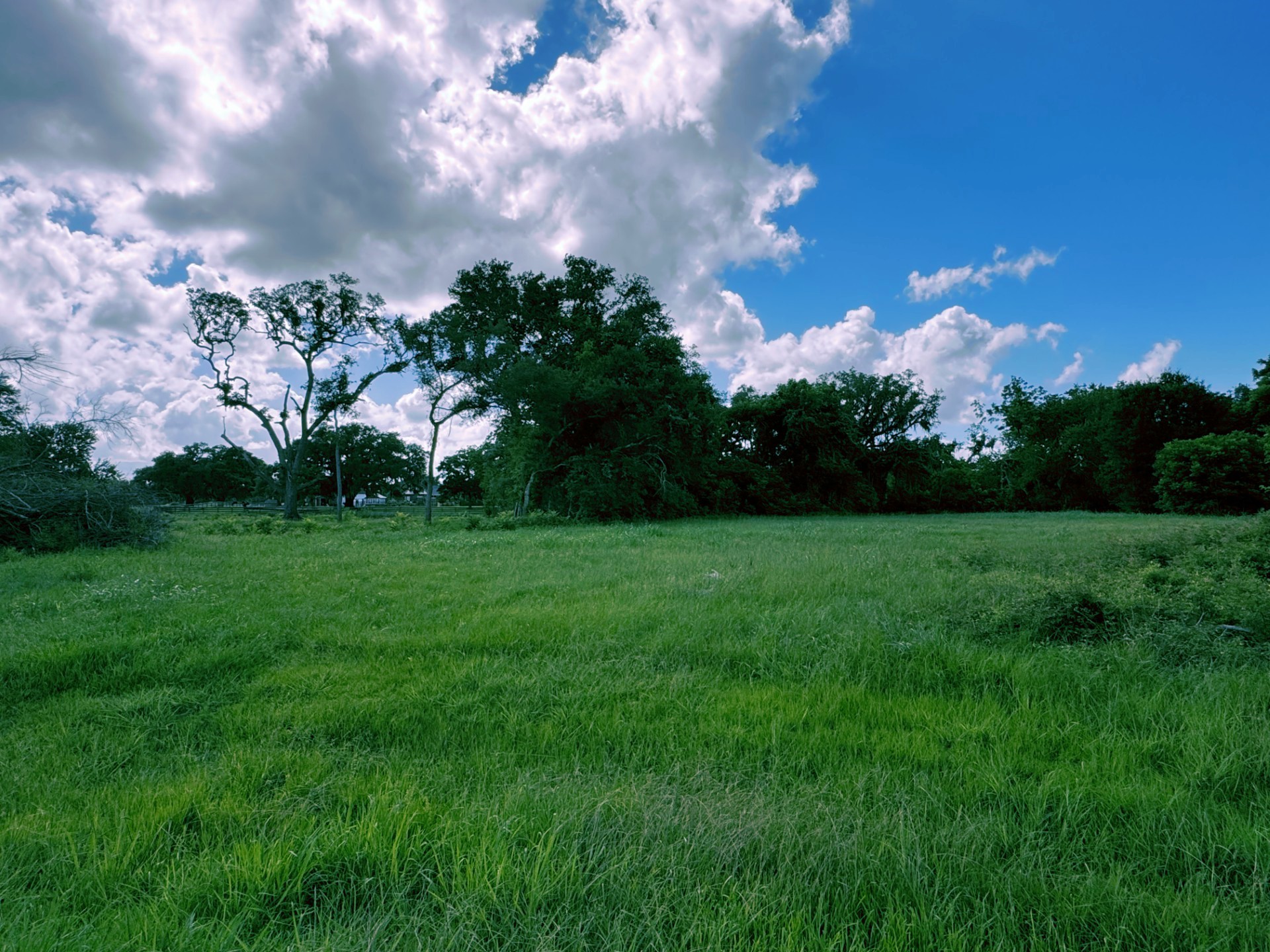 1044 Winchester Trail Angleton, TX 77515 - Photo 1 of 6