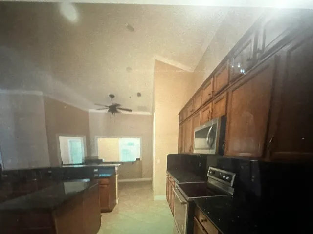 a view of a town with large trees