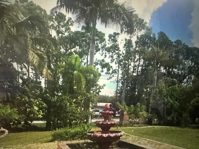 a view of a palm trees