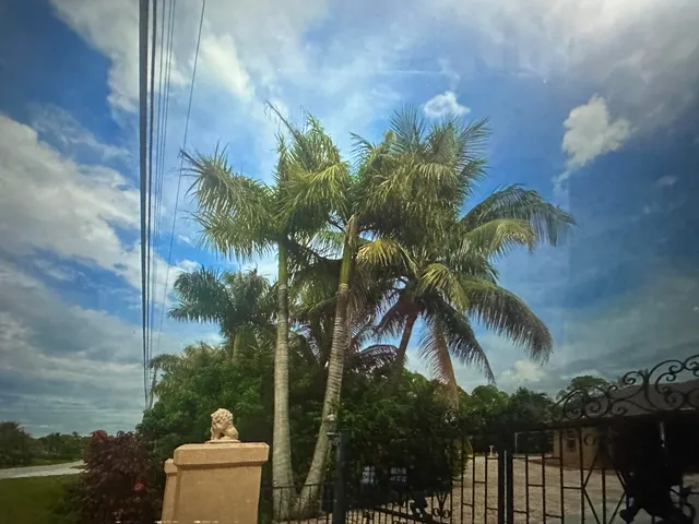 a wooden bench sitting in middle of a yard