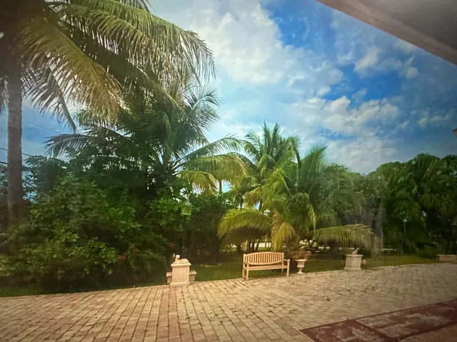 a backyard of a house with lots of green space