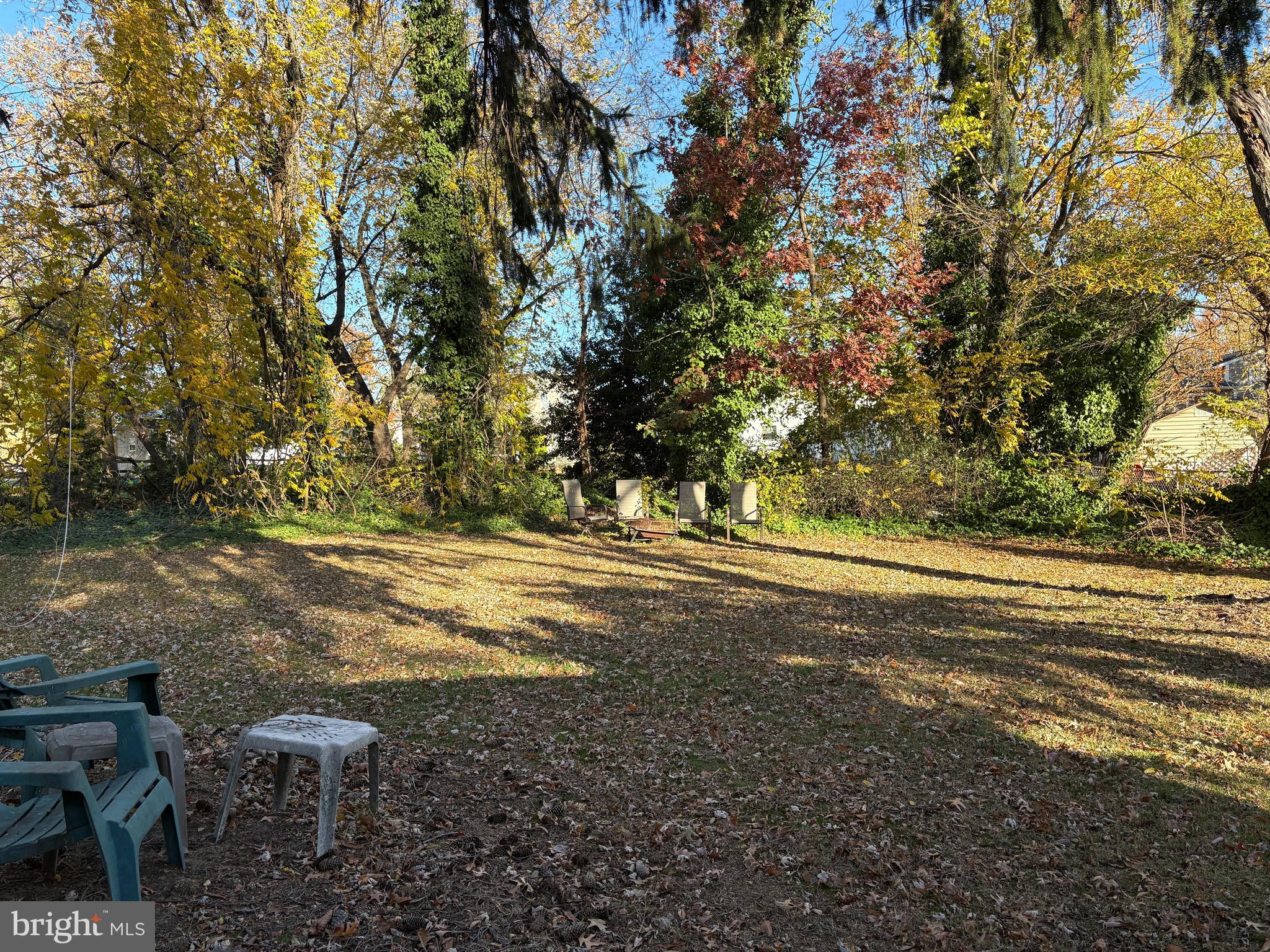 2204 New Albany Road Cinnaminson, NJ 08077 - Photo 21 of 22 a view of yard with large trees