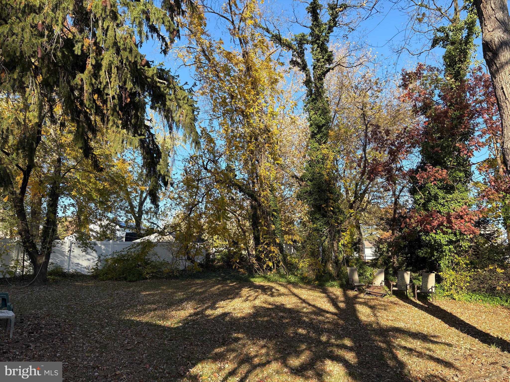 2204 New Albany Road Cinnaminson, NJ 08077 - Photo 22 of 22 a view of yard