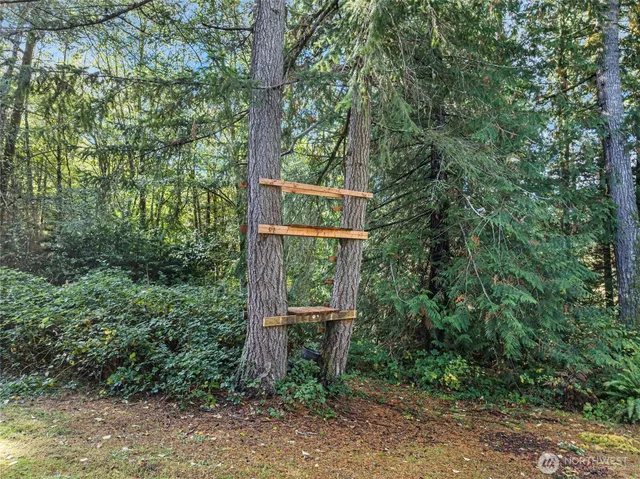 a sign that is sitting in front of a tree